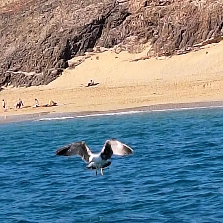 Aura Azul * Puerto Calero